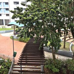 Blk 348 Clementi Avenue 5 (Clementi), HDB 4 Rooms #635476601